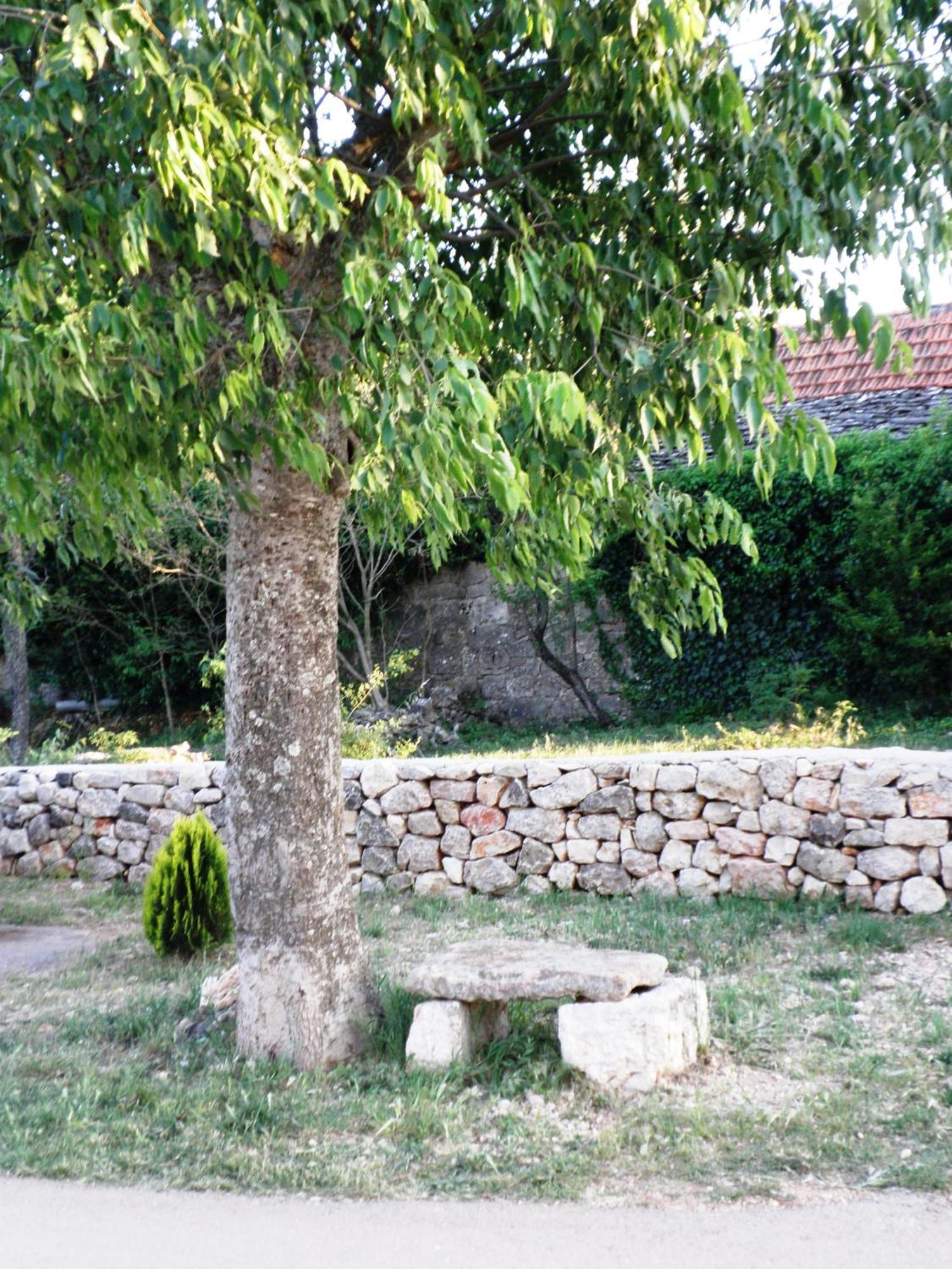 فندق Pansion Skelin Drinovci المظهر الخارجي الصورة